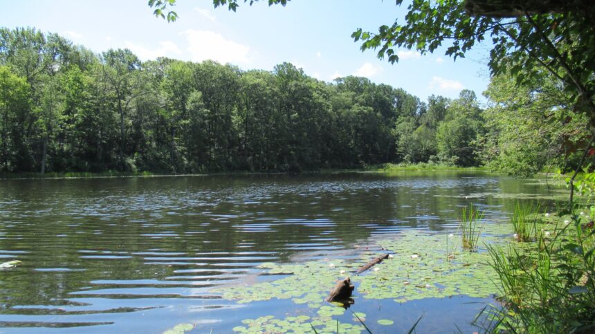 Morris County Open Space Project at Wildcat Ridge Officially Preserved