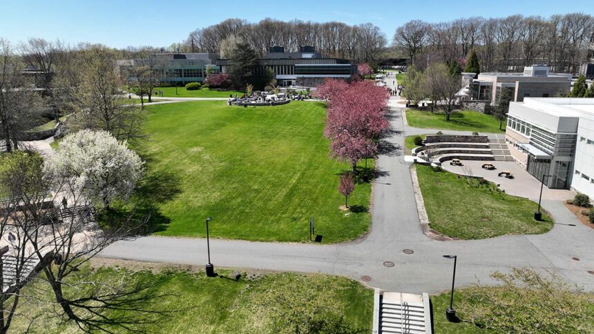 County College of Morris Launches Online Business Degree for Adults