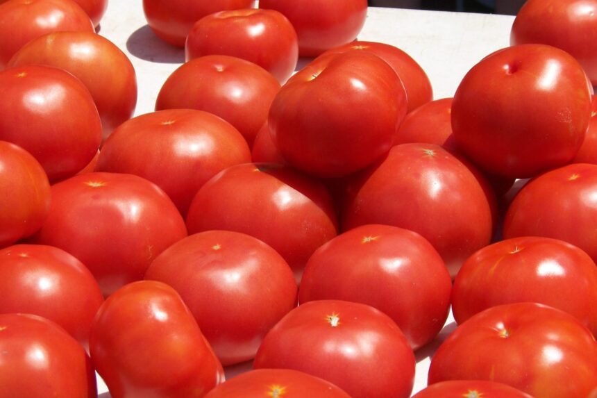 Fresh produce on a vendor table at the Morris Plains Farmers Market