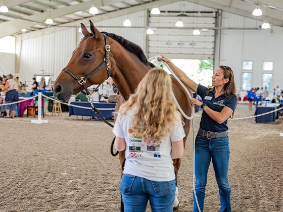 Centenary University Mane Event Returns to Long Valley Sept. 12, 2026