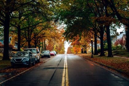 Tree lined suburban street with fall foliage and parked cars
