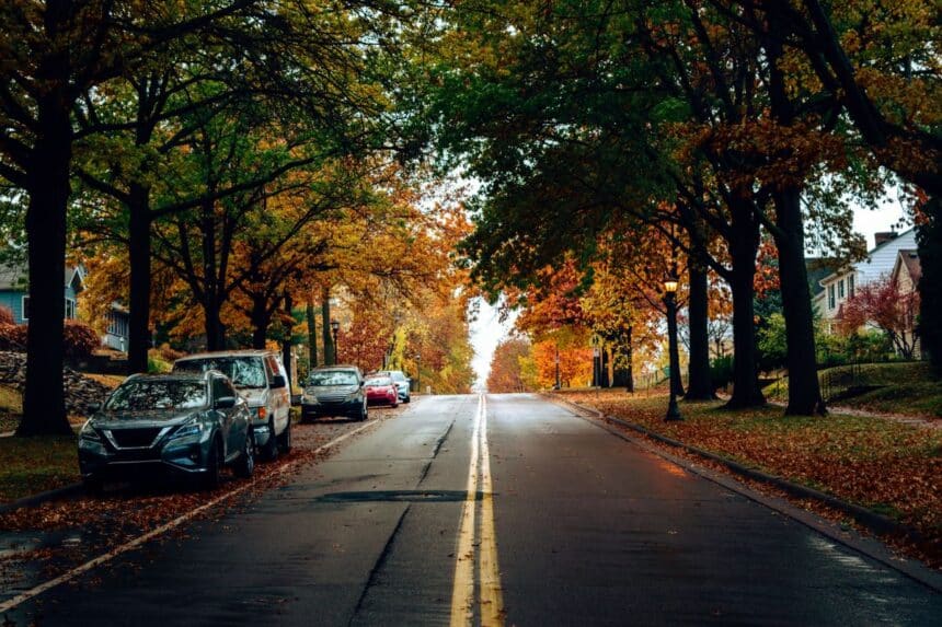 Tree lined suburban street with fall foliage and parked cars