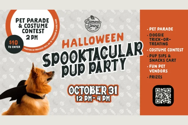 Diamond Spring Brewing Co. Halloween Spooktacular Pup Party flyer for Oct. 31 in Denville, with a dog in a bat costume