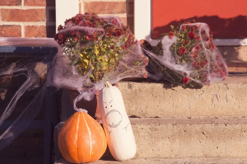 Pumpkins, a painted gourd and fake spider webs decorate brick front steps for Halloween