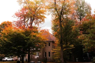 A stone house surrounded by trees in fall color, illustrating New Jersey property tax relief for homeowners